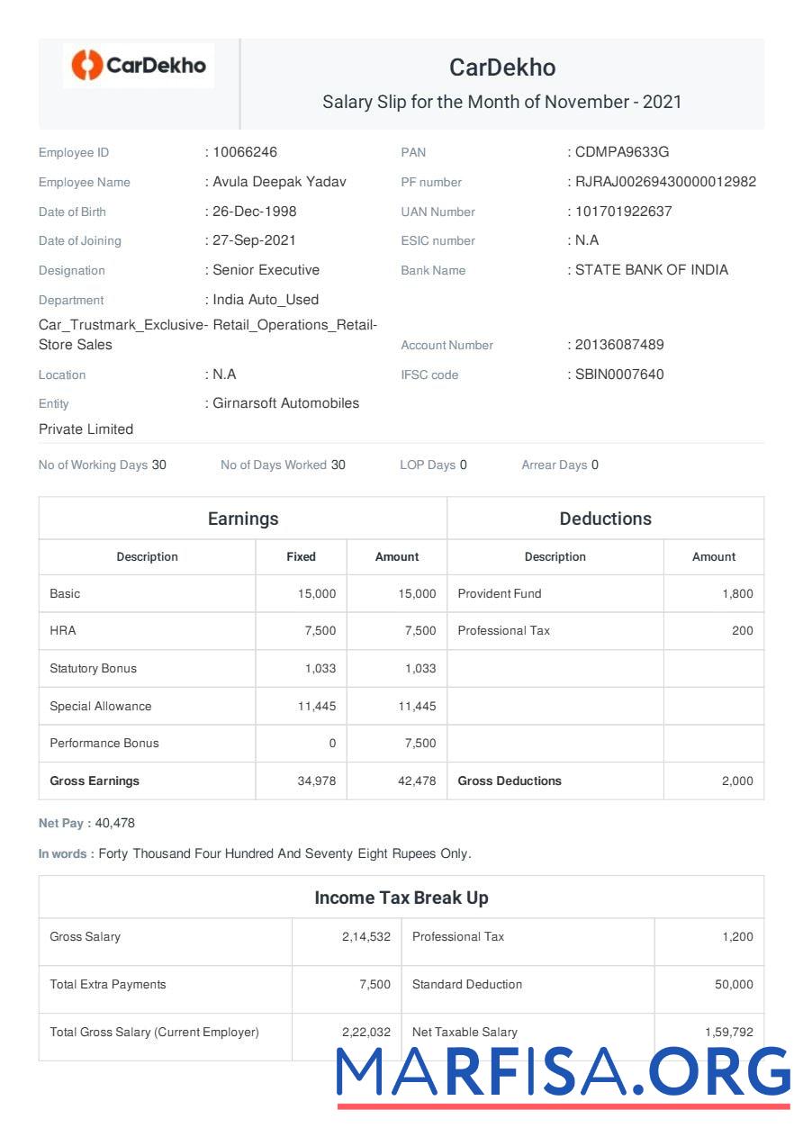Blank CarDekho payslip download for verification